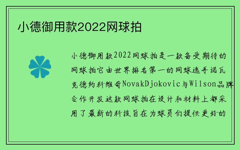 小德御用款2022网球拍