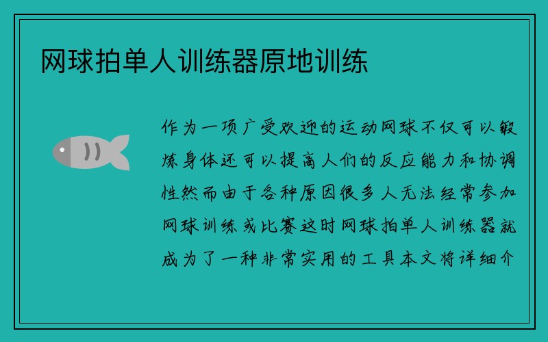 网球拍单人训练器原地训练