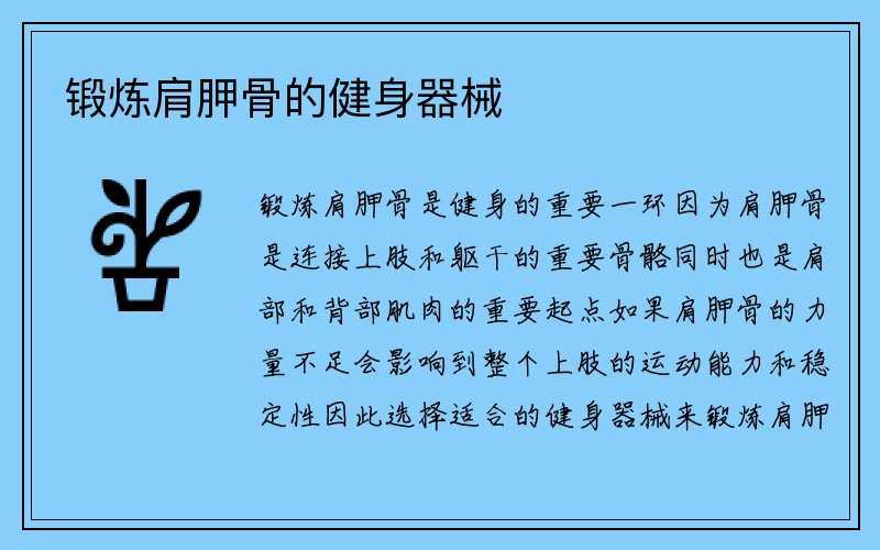 锻炼肩胛骨的健身器械