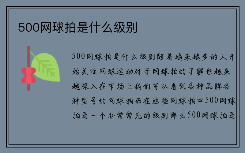 500网球拍是什么级别