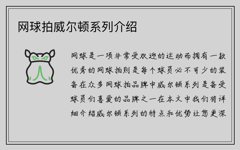 网球拍威尔顿系列介绍