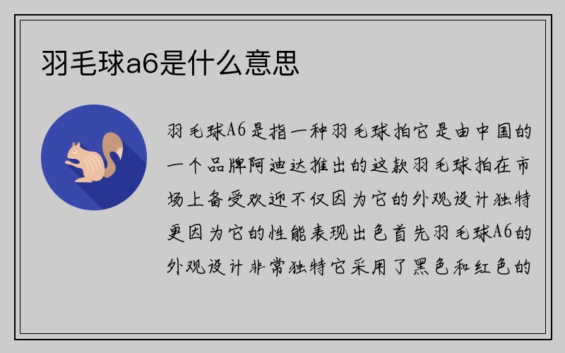 羽毛球a6是什么意思